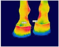 Diferença de temperatura na parte proximal dos 